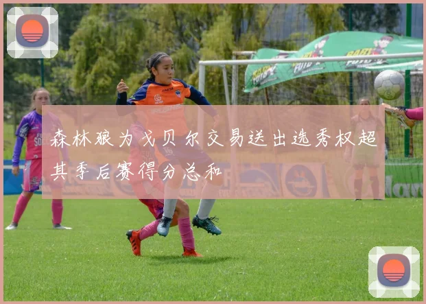森林狼为戈贝尔交易送出选秀权超其季后赛得分总和