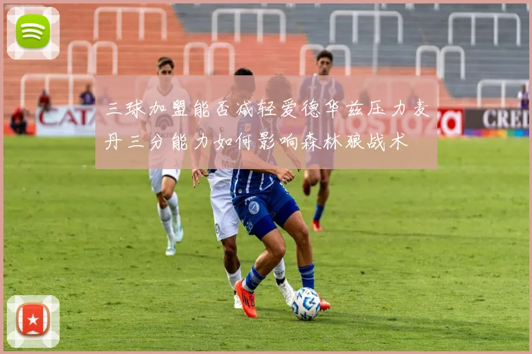 三球加盟能否减轻爱德华兹压力麦丹三分能力如何影响森林狼战术